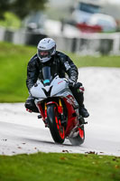 PJ-Motorsport-Photography-2020;anglesey;brands-hatch;cadwell-park;croft;donington-park;enduro-digital-images;event-digital-images;eventdigitalimages;mallory;no-limits;oulton-park;peter-wileman-photography;racing-digital-images;silverstone;snetterton;trackday-digital-images;trackday-photos;vmcc-banbury-run;welsh-2-day-enduro